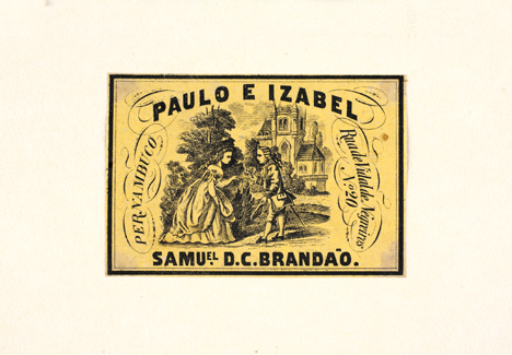 vizualizar o documento on line